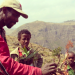 Emayu showing local boys wild herbs above the Gemma River Gorge.