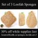 Setof3_Loofah_Sponges_Anarres POST