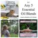 5 Essential Oil Blends for $65