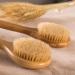 Brush: Wood & Natural Bath & Body, and Dry Brushing