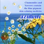 Post showing blue seas and white flowers about essential oils high in azulene