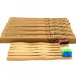 Toothbrush: Bamboo Child Sized in 6 colours boxed