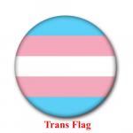 Trans Pride buttons available at Anarres