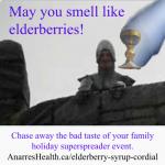 elderberries_HolyGrail_Anarres POST