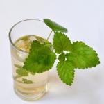 Lemon_balm_Melissa_leaf_Anarres